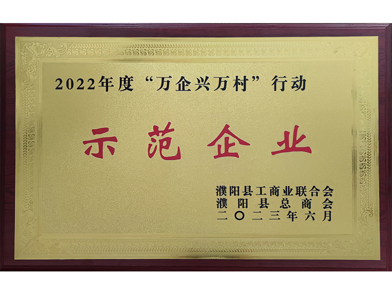 萬企興萬村行動示范企業